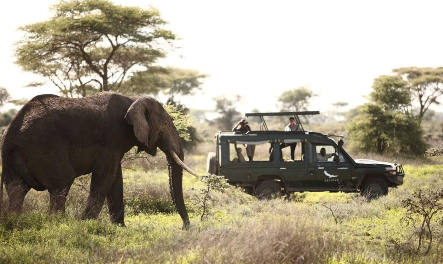 Game Viewing Serengeti National Park