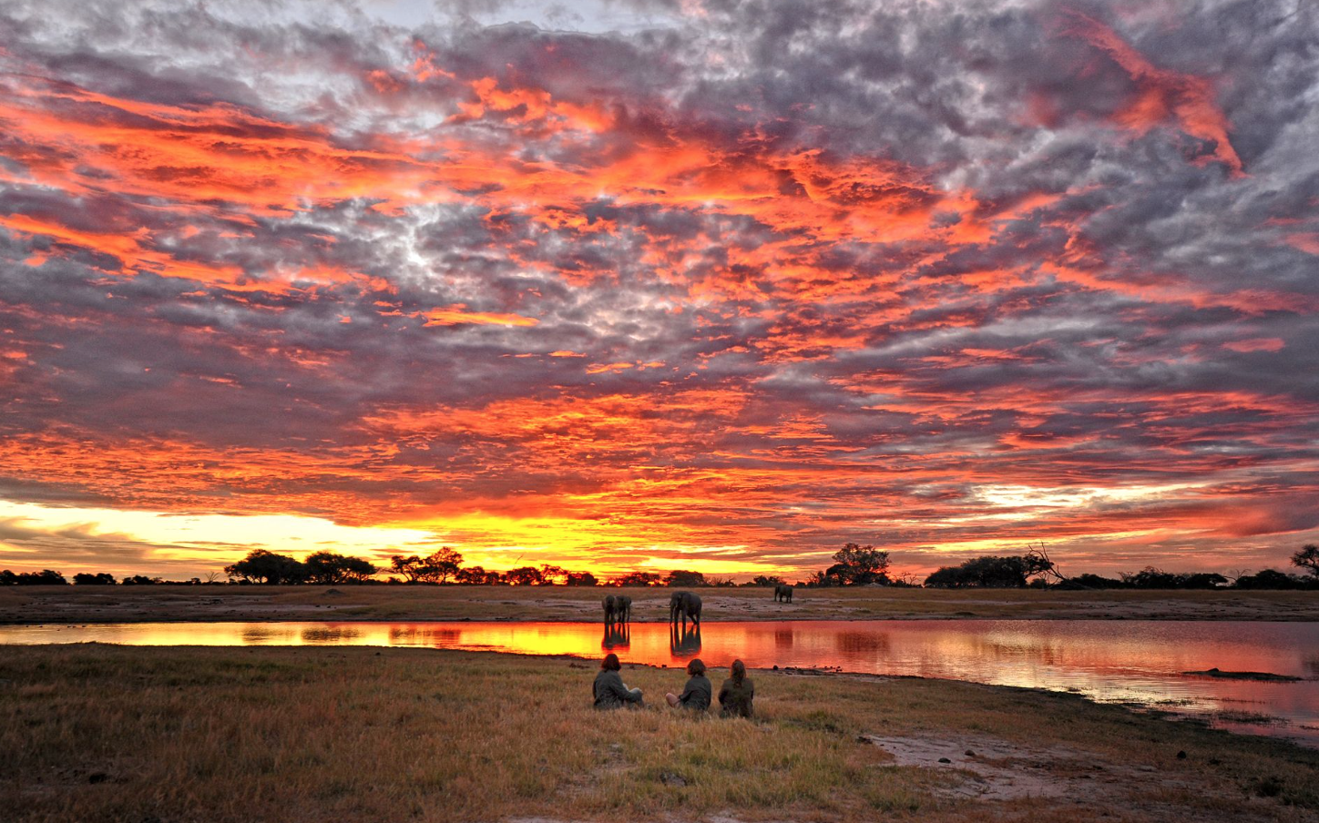 Hwange National Park