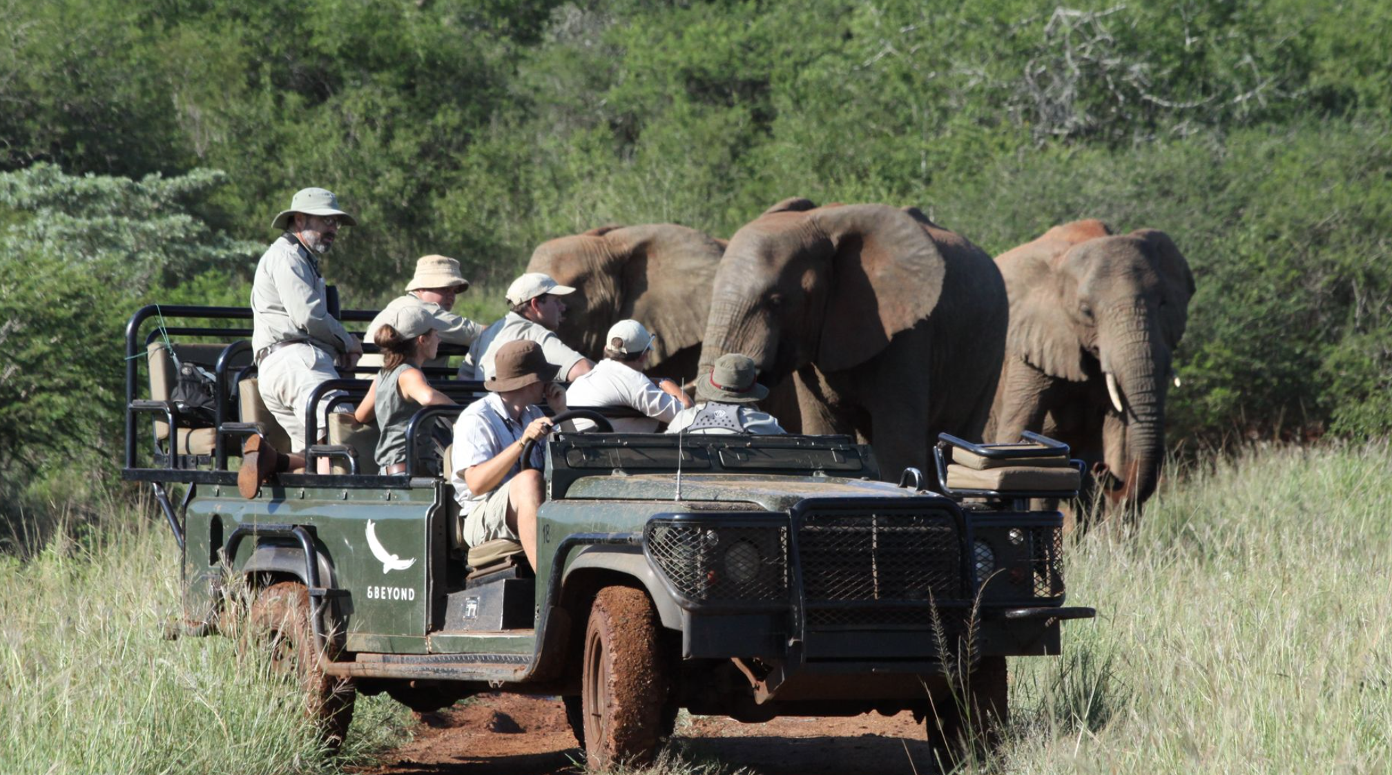 Game Drive in Phinda