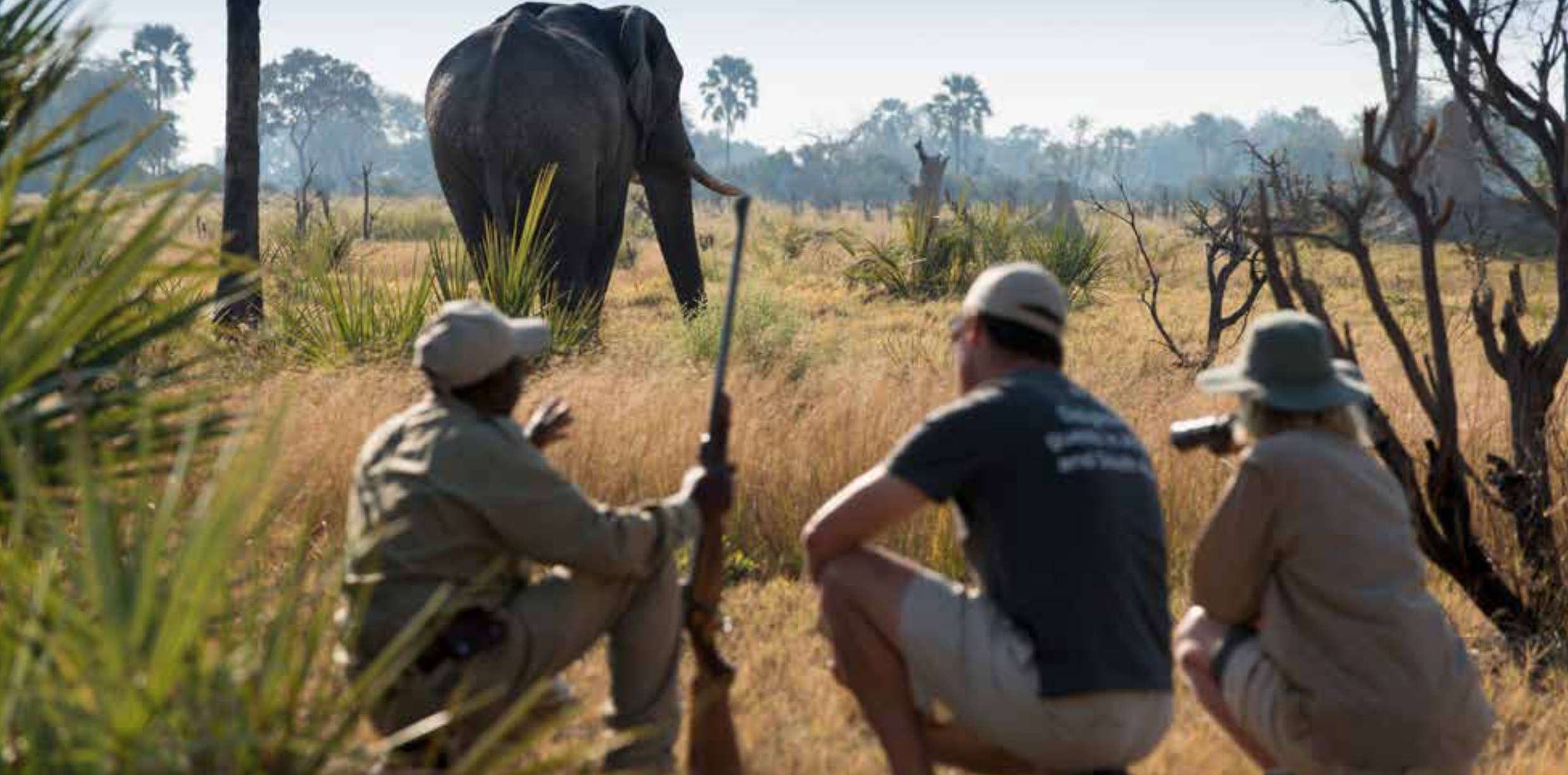 Botswana Highlights Safari - Nature Walk