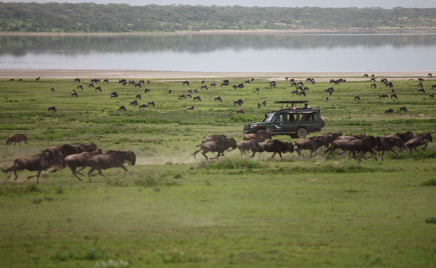 Serengeti National Park